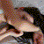 :iconelifreeedom: