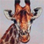 :iconeliminationjr: