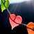 :iconelinook: