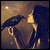 :iconelion-tenner: