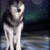 :iconelisa-bluepaw: