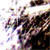 :iconelisabethunderground: