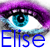:iconelise-e:
