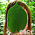 :iconelisechan: