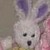 :iconelissaamellcousland: