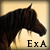 :iconelitexalmond: