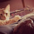 :iconelitia09: