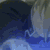 :iconeliwyn: