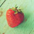 :iconeliza-veta: