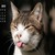 :iconelizaart1a: