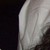 :iconelizabethbarber: