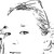 Elizabethofthelost :iconelizabethofthelost: