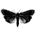 :iconelkskulls: