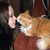:iconellabelle797: