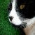 :iconellenweore: