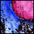 :iconEllephive: