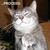 :iconellieshamabeadworld: