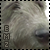 :iconellietheferret: