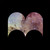 elliotfry :iconelliotfry: