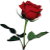 :iconelliottfe: