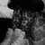 :iconellipeake: