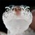 :iconellizard: