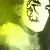 :iconellunare: