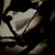 :iconelmaniso: