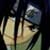 :iconelmoextreme: