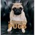 :iconelmolover123: