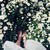 :iconelodie-bernard: