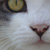 :iconelovebabe: