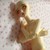 :iconelphie-in-florida:
