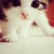 :iconelq9eed-photography: