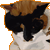:iconelrehAan: