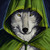 :iconelrondsen: