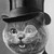 :iconelronman: