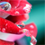 :iconelroo7: