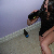 :iconelseworth: