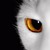 :iconelspag: