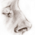 :iconeltrain68: