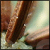 :iconelucid8: