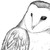 :iconelusive-tyto: