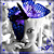 :iconelusivebutterfly: