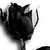 :iconelvenblackrose: