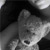 :iconelvenelvanshalee:
