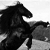 :iconelvie-melvie: