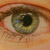 :iconelvira3rd: