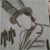 :iconelvirah: