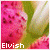:iconElvishPhotography: